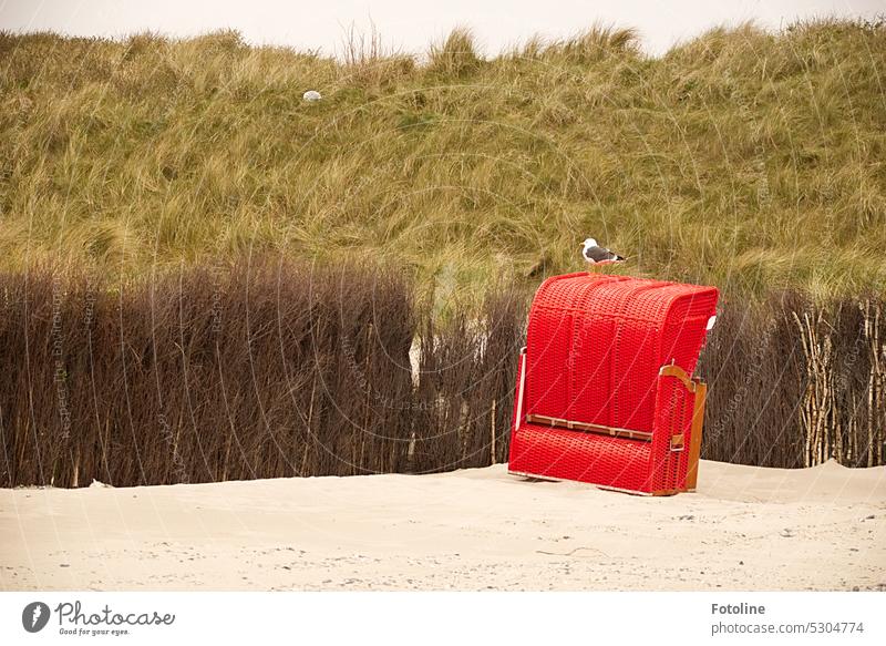 The bright red beach chair on the beach of the dune off Helgoland stands crooked. A seagull is using it as a vantage point. The season hasn't started yet, so no tourists can steal from it.