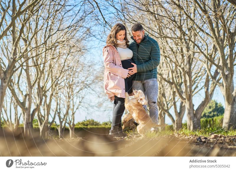 Glad expecting couple walking with dog wife husband pregnant belly maternal park pregnancy await childbearing prenatal motherhood anticipate father parenthood