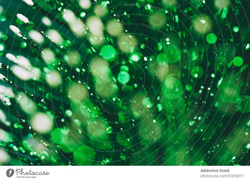 Abstract background of green sparkles glow abstract light shiny bright magic glitter illuminate effect twinkle glimmer luminous gleam backdrop vibrant speck