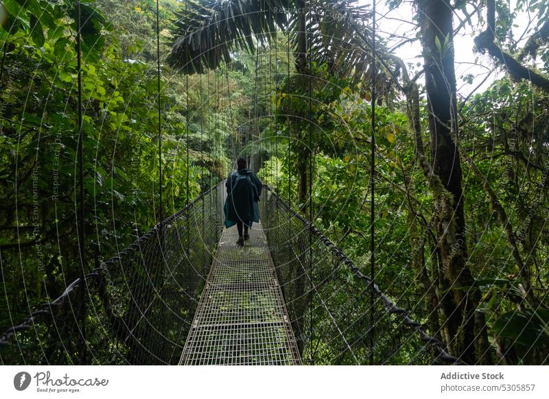Unrecognizable traveler walking on suspension bridge forest footbridge nature rain woods adventure costa rica tourist path explore wanderlust tree backpacker