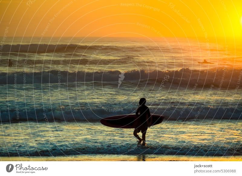 shortly after sunrise with the surfboard into the sea Surfer Surfboard Aquatics Lifestyle Waves Early riser Sunlight Sunrise Back-light South Pacific Silhouette