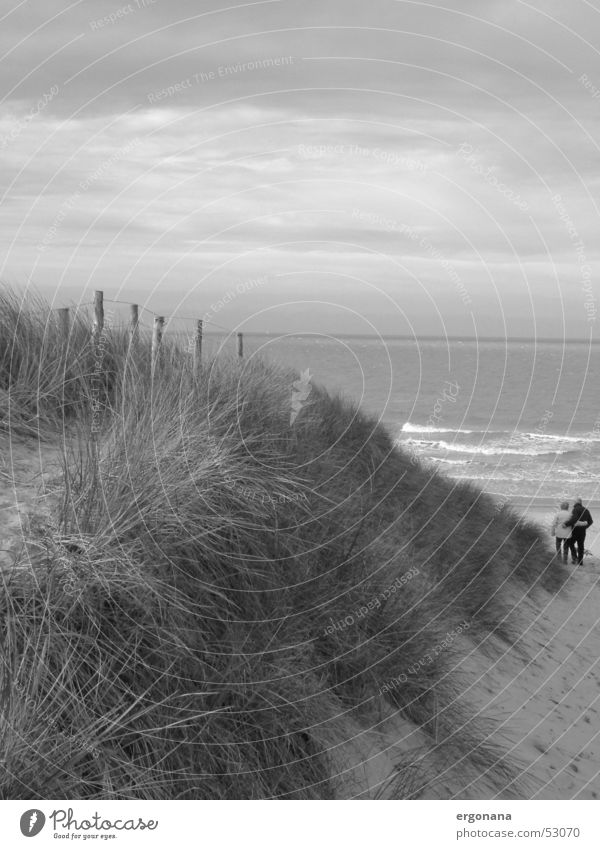 dune walk Ocean Lovers Grass Beach Belgium Beach dune Couple Sky Black & white photo In pairs