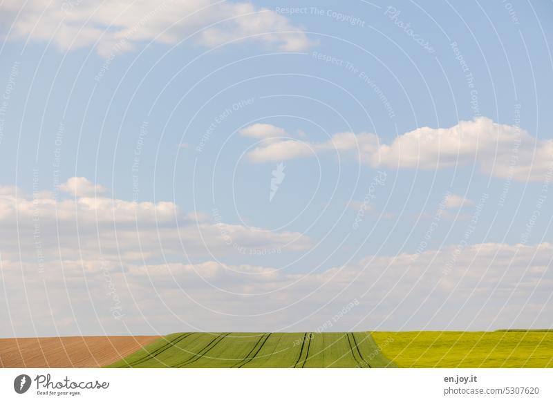 various fields to the horizon Sky Horizon Clouds Far-off places Field Beautiful weather Landscape Deserted Exterior shot Colour photo Nature Environment Climate