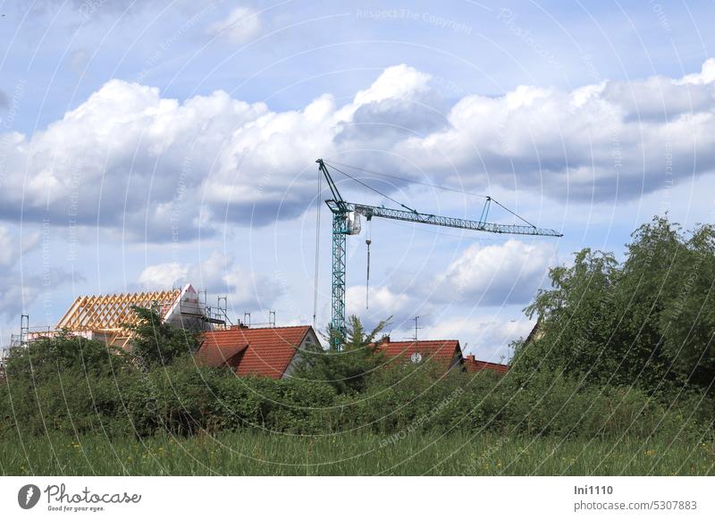 MainFux |Construction crane in residential area Landscape Residential area near the river house roofs Build Craft (trade) unfinished rafter Scaffolding Meadow