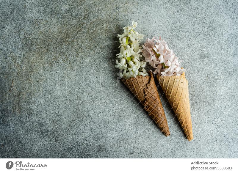 Cone waffle full of hyacinth flower background beauty bud buld card concept concrete cone festive flora floral food holiday mother day petal season seasonal