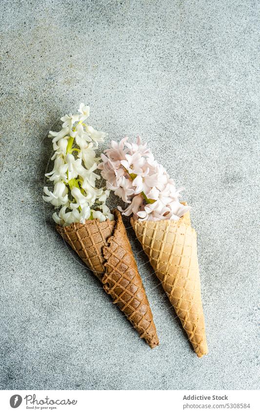 Cone waffle full of hyacinth flower background beauty bud buld card concept concrete cone festive flora floral food holiday mother day petal season seasonal