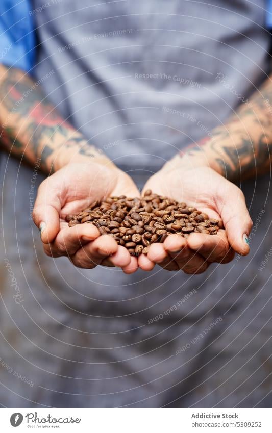 Anonymous person with pile of coffee beans in hands man roast handful seed bartender natural aromatic grain caffeine organic brown smell product heap flavor