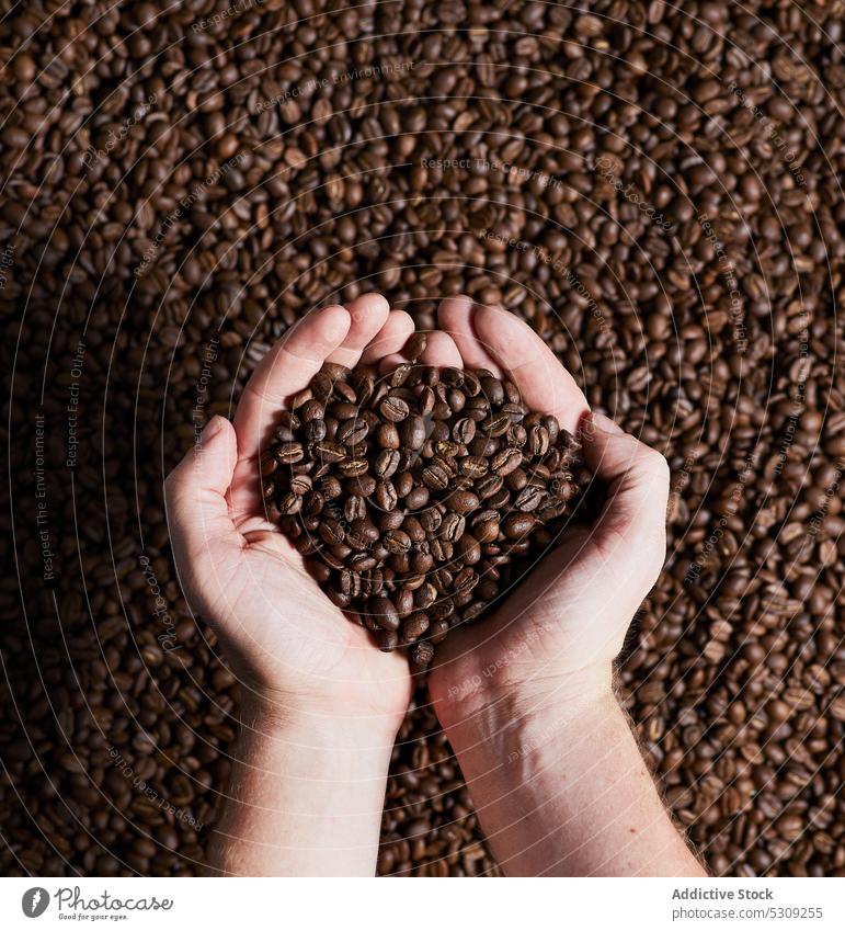 Crop person with pile of coffee beans in hands roast handful seed natural aromatic grain caffeine organic brown smell product heap flavor ingredient fresh