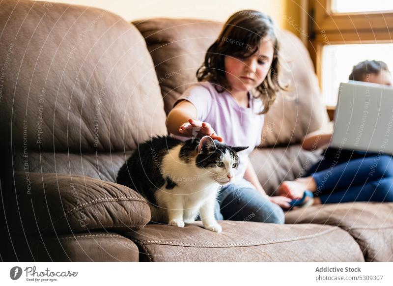 Girl caressing adorable cat on couch girl child together sofa stroke pet weekend rest cute home kid little comfort living room animal calm childhood owner