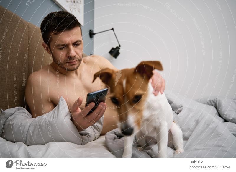 Man resting in bed with dog and use smarpthone man bedroom lazy pet using addiction smartphone animal morning lying online adorable browsing canine care