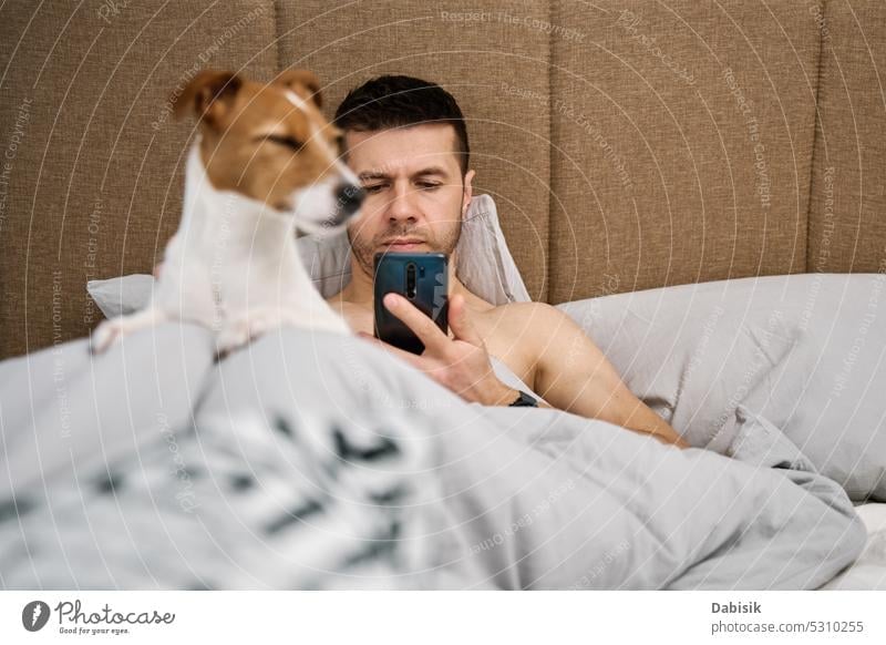 Man resting in bed with dog and use smarpthone man bedroom lazy pet using addiction smartphone animal morning lying online adorable browsing canine care
