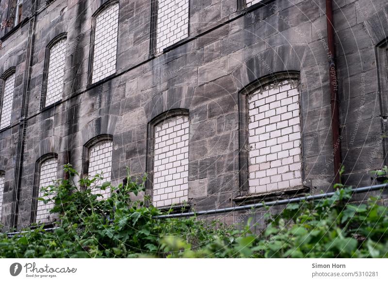 Bricked up windows in old house facade bricked up opaque Window Closed Barricaded Structures and shapes Structural change Vacancy Facade Dismissive