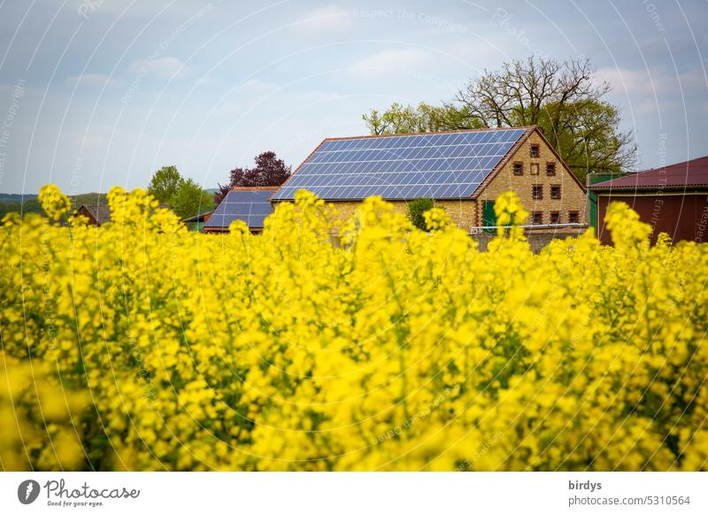 Farm with photovoltaic system behind a blooming rape field photovoltaics Renewable energy Solar Energy Energy industry Climate protection Canola field