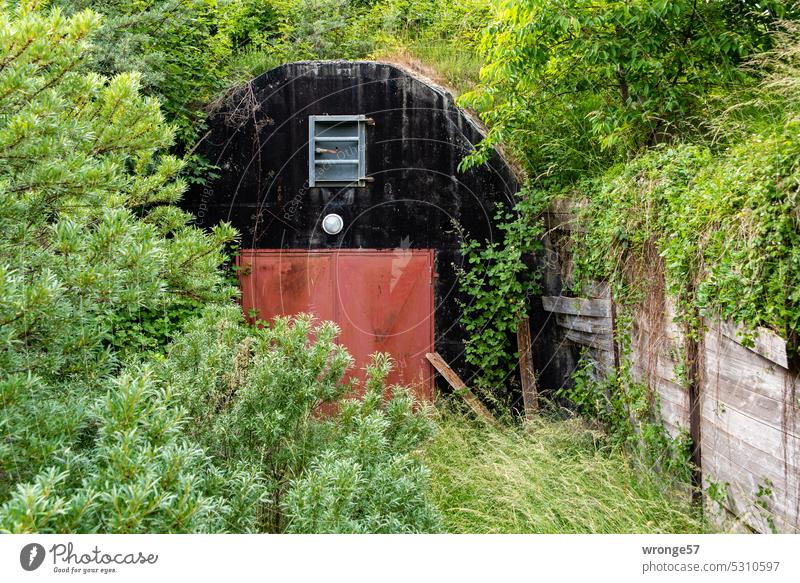 Bunker entrance Shelter Dugout Bunker facility Concrete War Wall (building) Exterior shot Deserted Colour photo Architecture Manmade structures Day Past Arkona