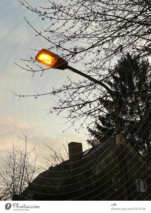 A streetlight glows yellow-orange in the twilight | the day is coming to an end. streetlamp Street lighting Lighting Lantern Lamp Sky Lamp post Dark Twilight