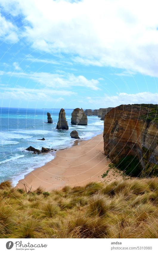 Twelve Apostles in Australia Ocean coast Waves Wind Marram grass duene rock Cliff Beach Nature Sand Landscape Vacation & Travel Exterior shot