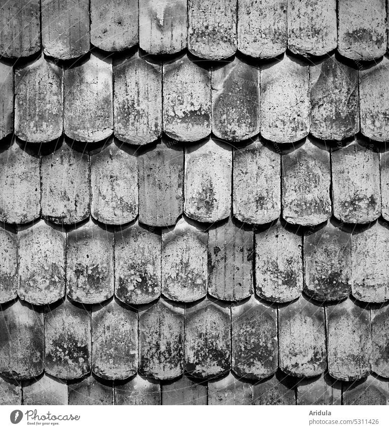 Collection | Old roof tiles b/w Roofing tile brick Weathered clay tiles Building House (Residential Structure) Historic Structures and shapes Tiled roof