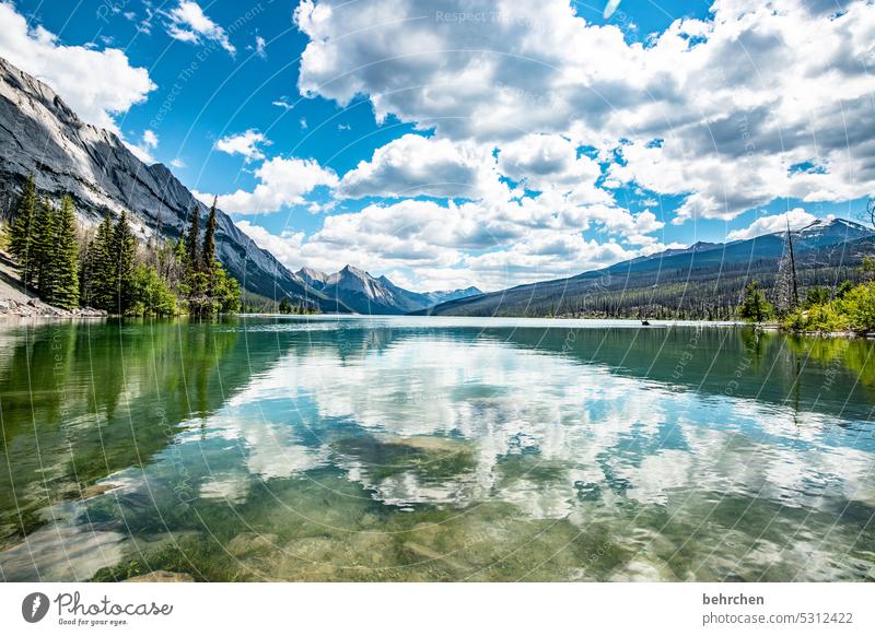 cloud lake Medicine Lake Impressive wide mountain lake Reflection Far-off places Wanderlust especially Vacation & Travel Fantastic Nature Rocky Mountains