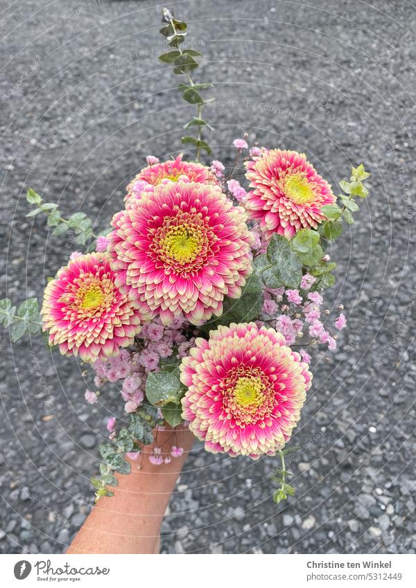 A bouquet of candy colored gerberas Bouquet flowers Gerbera Baby's-breath Flower Decoration Birthday Mother's Day Valentine's Day Hand To hold on stop Love