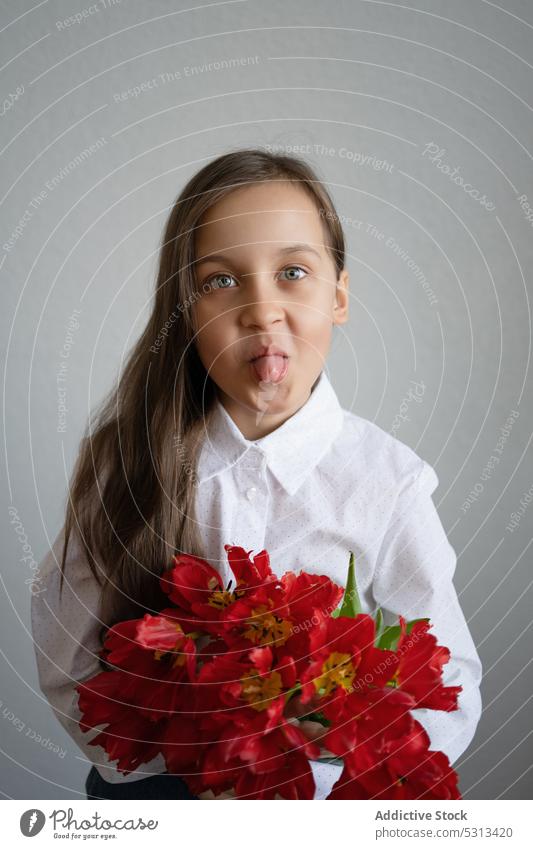 Funny girl standing with red tulips in room flower show tongue funny make face childish bloom joy bouquet preteen grimace appearance happy blossom young