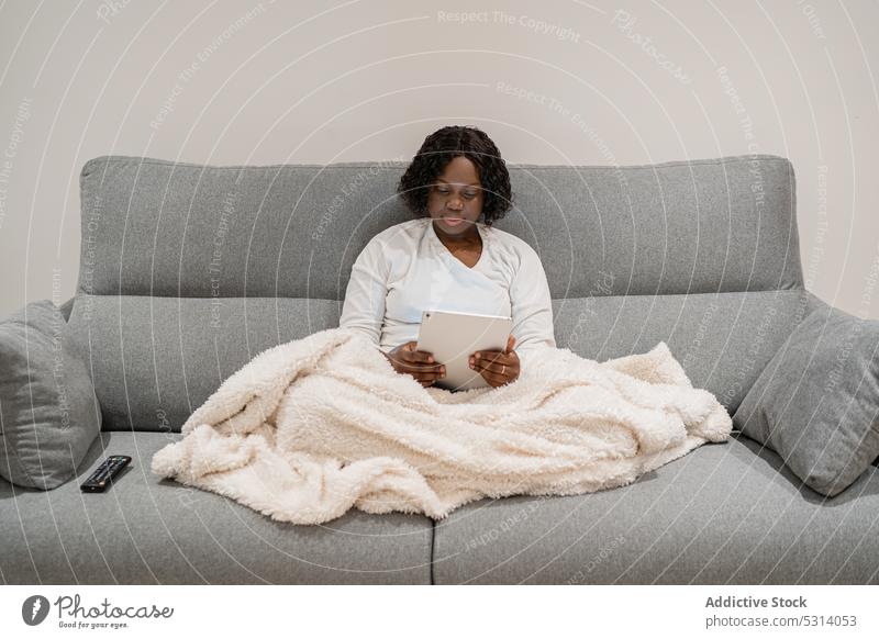Focused black woman browsing tablet on sofa using concentrate comfort online home internet cozy surfing african american female young focus rest gadget device