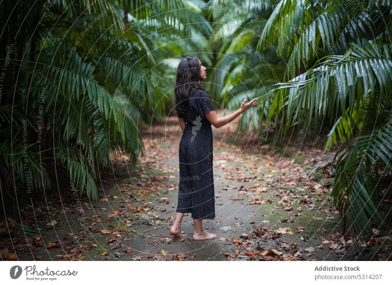 Woman standing in tropical garden with palm trees woman summer park nature barefoot casual girl azores portugal walkway pathway stroll calm idyllic relax plant