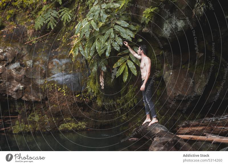 Young man standing on fallen tree trunk and touching leaf water nature forest summer pond azores region green foliage plant park lake environment countryside