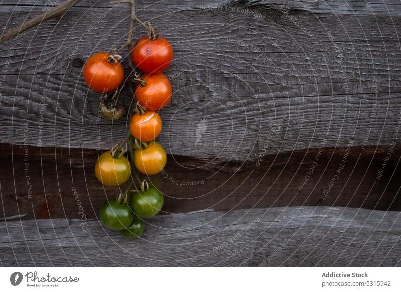 Bunch of fresh tomatoes branch wooden surface red yellow green healthy vegetable food organic diet ripe ingredient plant vegan lumber timber wall harvest rustic