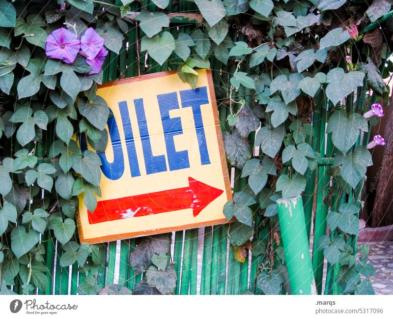 Toilet -> Characters Signage Plant Fence Green Signs and labeling Arrow Direction