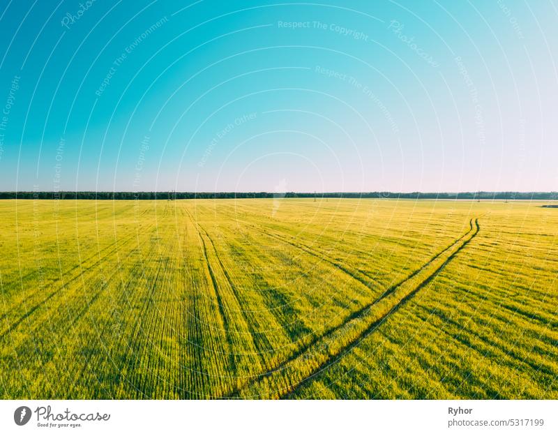 Clear sky above rural landscape in sunny summer evening. . Agricultural summer field. Aerial view of countryside road in field rural landscape. Panorama, panoramic view