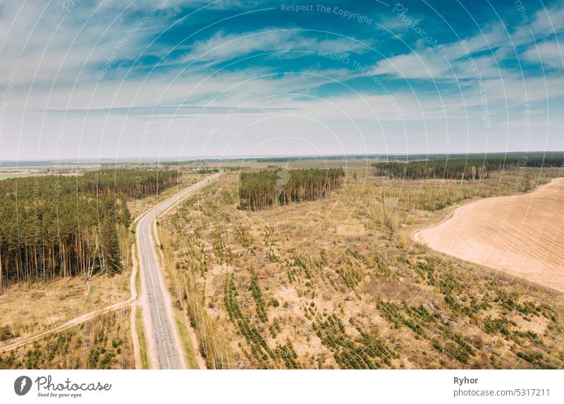 Aerial view of highway road through deforestation area landscape. Green pine forest in deforestation zone. Top view of field and forest landscape in sunny spring day. Drone view. Bird's eye view