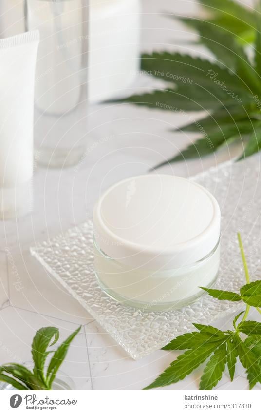 White cream jar with a blank lid near cannabis sativa leaves. Cosmetic Mockup cosmetic mockup cbd nature close up Brand packaging eco frienly lotion organic