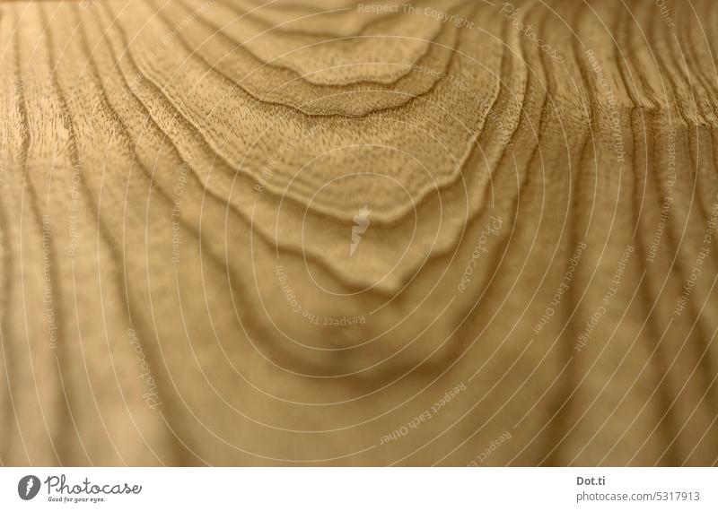 Ash wood grain Wood Board Wood grain Structures and shapes Wooden board Colour photo Brown Close-up Subdued colour Deserted Detail naturally Natural material