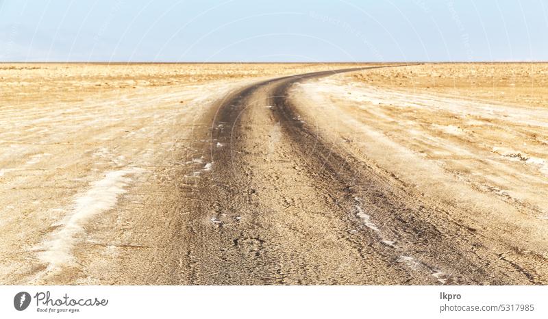 the  ground and the road in the desert of salt africa sand landscape track travel nature dirt dry arid drought horizon scenic outdoor journey south empty sunny
