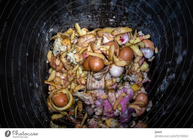 Organic waste in the organic waste garbage can organic waste bin Recycling bowls Vegetable Kitchen waste Kitchen scraps Biogradable waste Bird's-eye view