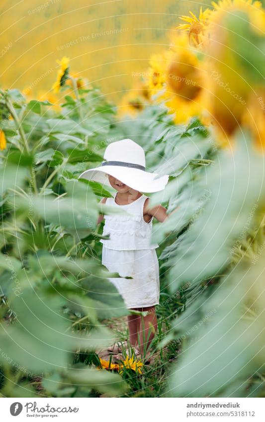 A cute little smiling girl in the field of sunflowers. child in momy hat. childhood concept. Sunny summer day in field of sunflowers. selective focus yellow