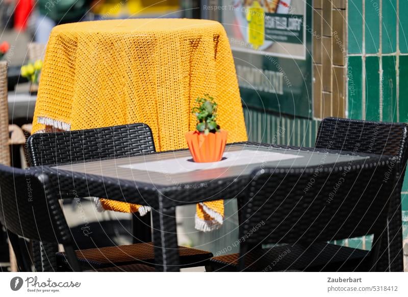 Small plant in orange pot in front of yellow tablecloth on table in outdoor area of restaurant Sidewalk café Café Restaurant Plant Green Yellow Orange