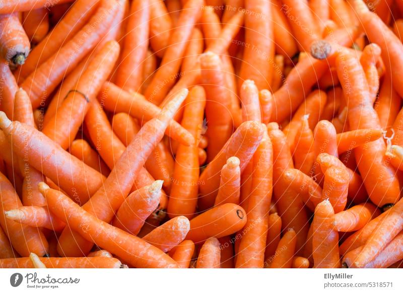 A bunch of fresh carrots Fresh Vegetable Organic produce Healthy Eating Vegetarian diet Food Nutrition Delicious Colour photo Vegan diet Food photograph Diet