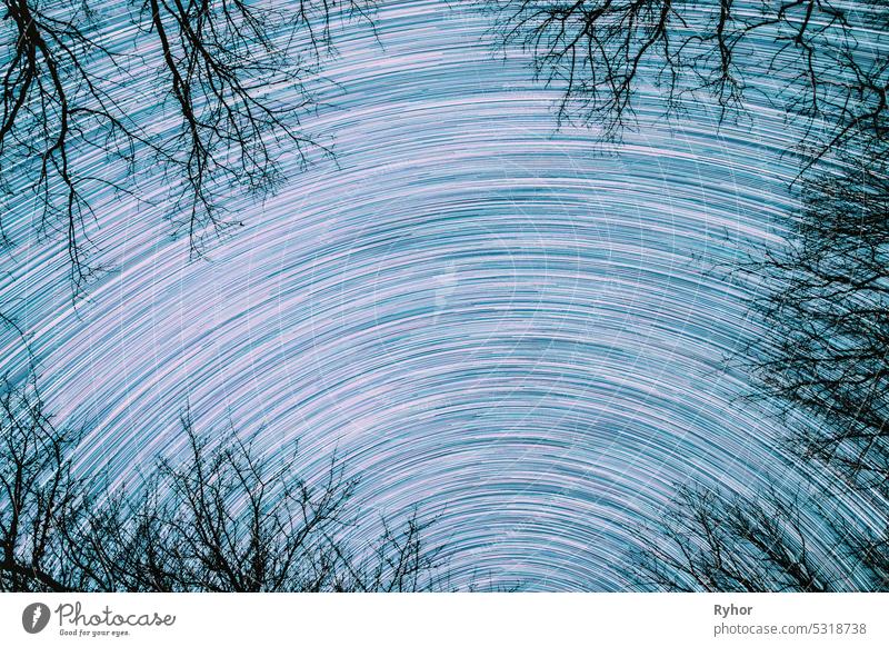 Abstract Star Lines Move In Sky.spin Trails Of Stars Above Tree Crowns Without Foliage. Night Rotate Sky Star Background. Amazing Unusual Stars Effects In Sky. Bright Blue