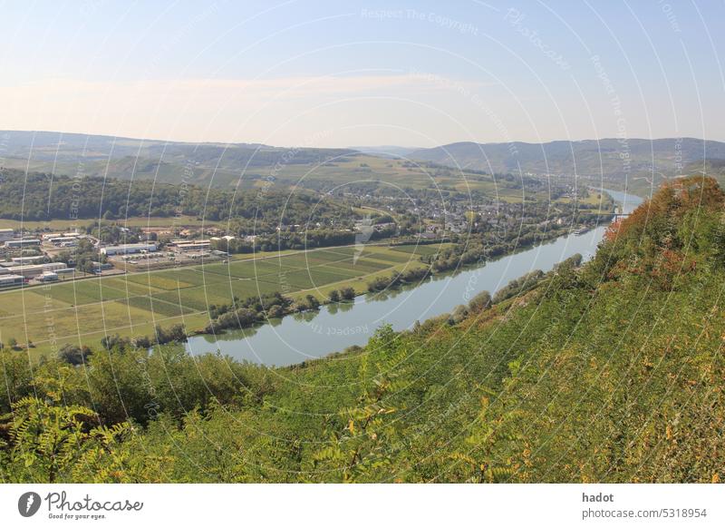 Moselle valley Germany Moselle Valley Bernkastel-Kues wine wine growing landscape river Muelheim Lieser tourism