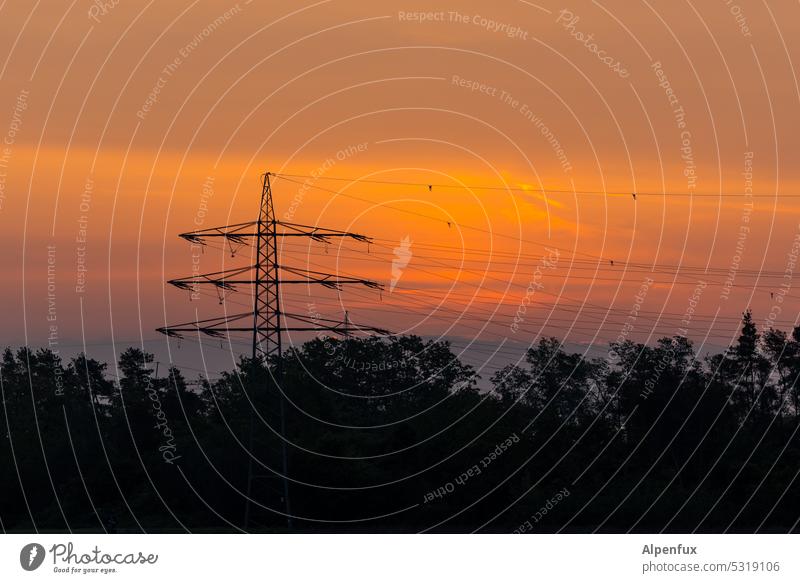 Parallel connection Electricity pylon Dusk Twilight High voltage power line Technology Energy industry Sky Industry Transmission lines Power transmission