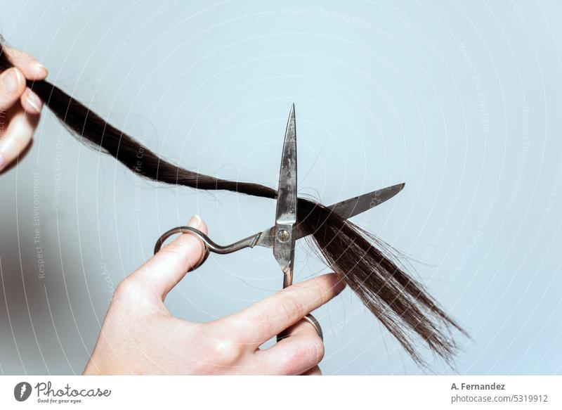 Close-up of a woman cutting with scissors the ends of a section of her long black hair haircut hair cut section of hair holding chop off Hairdresser young woman