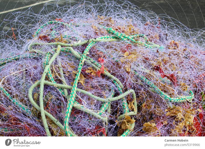 colorful fishing nets and ropes on a pile Vacation fishing nets variegated external name Close-up Colour photo Net fish-free Fishing net Ocean Rope catch Catch