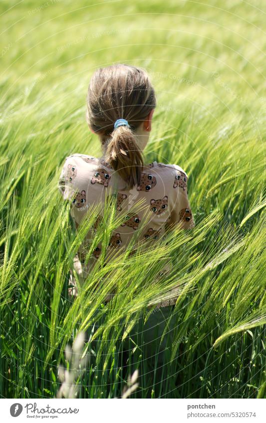 a child standing in a wheat field. back view. land love Wheatfield Child Ponytail Grain Field Agriculture country love Ear of corn Agricultural crop Cornfield