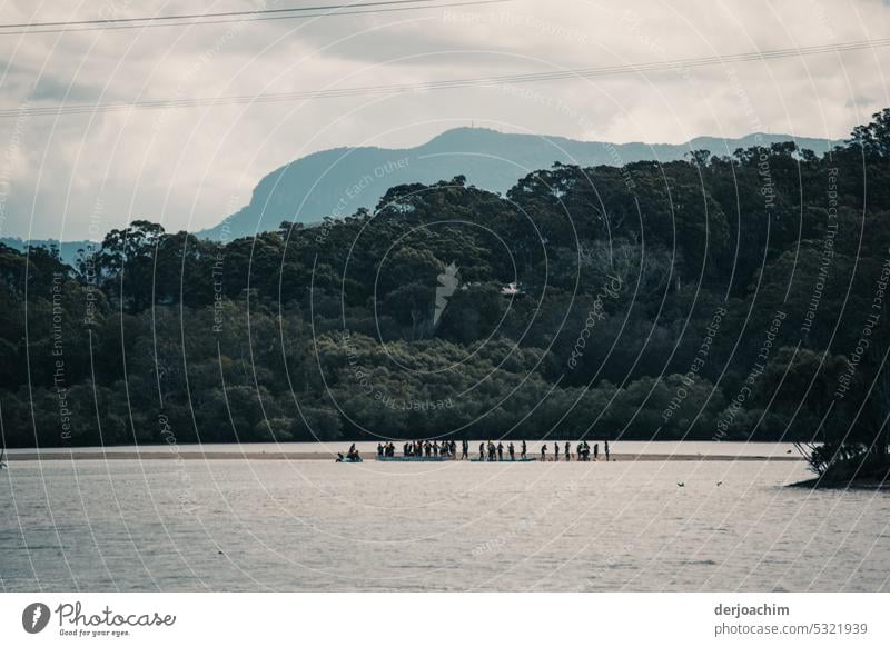 A large group of people standing on a sandbank in the river.in the background a lot of forest and mountains. Sandbank Nature Colour photo Exterior shot Beach