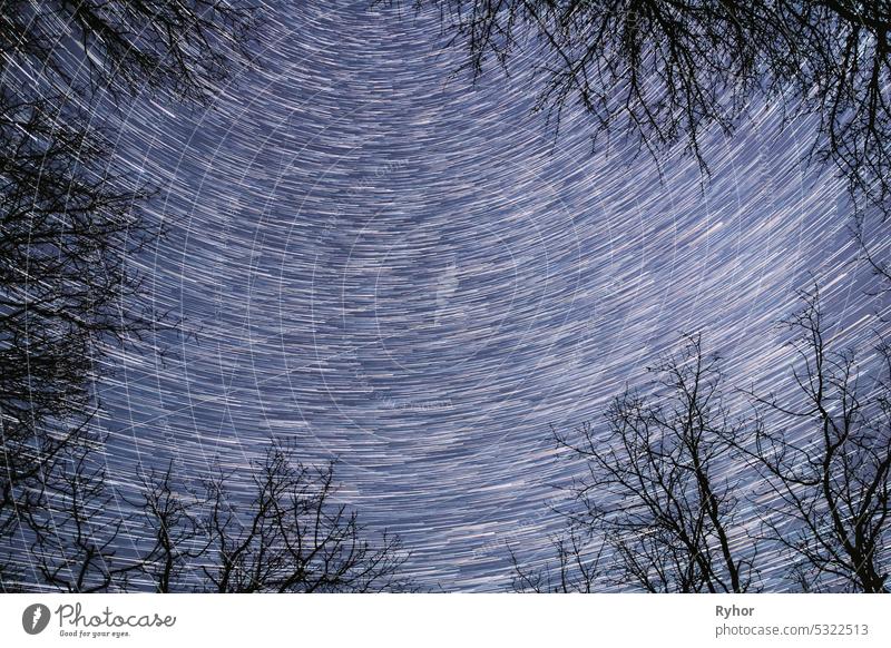 5k Spin Trails Of Stars Above Tree Crowns Without Foliage. Night Rotate Sky Star Background. Star Lines Move In Sky. Amazing Unusual Stars Effects In Sky. Bright Blue.