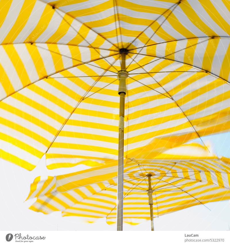 Bright parasols - the summer can come Summer sun protection Sunlight Sunshade Beautiful weather sunshine Summer vacation Sunbathing Vacation & Travel Beach