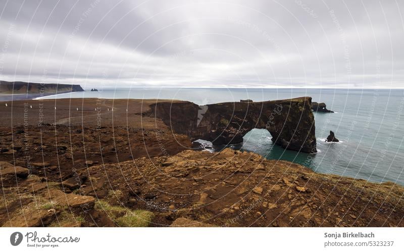 Dyrhólaey in Iceland with calm sea dyrholaey travel south iceland iceland trip attraction beautiful beauty destination icelandic outdoor scenic scenery rocks