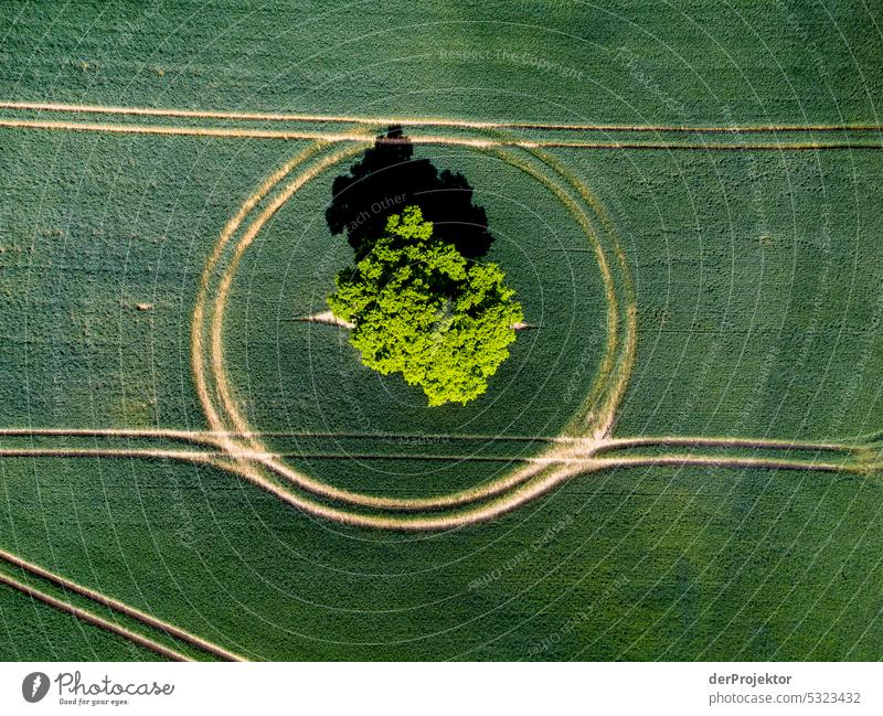 Spacial large green framed by tractor tracks Country life grass verge agriculturally Farmer Environment residual nature aerial photograph Sunlight Agriculture