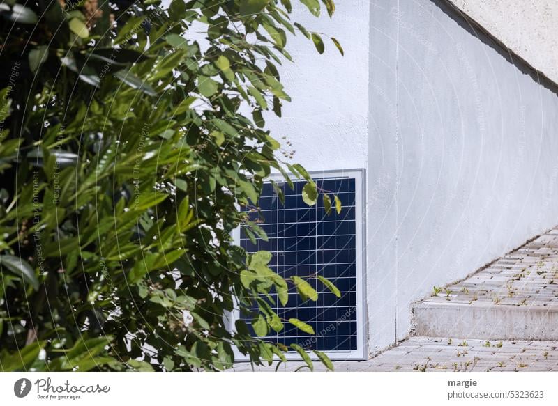 Solar collector on the house house wall Stairs Lanes & trails pavement Bushes Exterior shot Bay leaf Laurel tree Deserted Save energy Energy Solar collectors